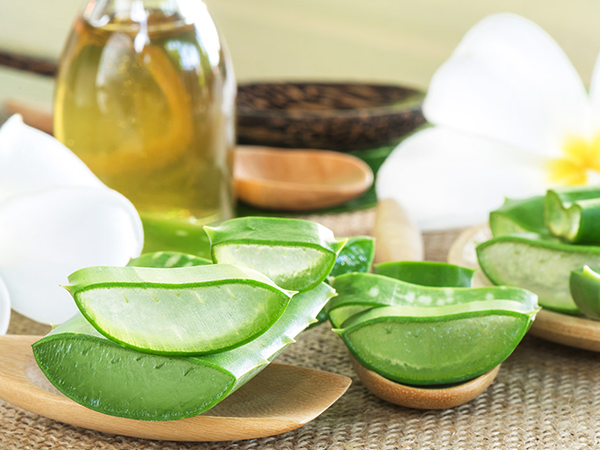 Cách làm kem chống nắng từ nha đam