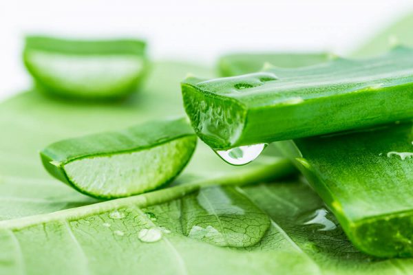 Bí quyết làm kem chống nắng toàn thân nguyên liệu thiên nhiên