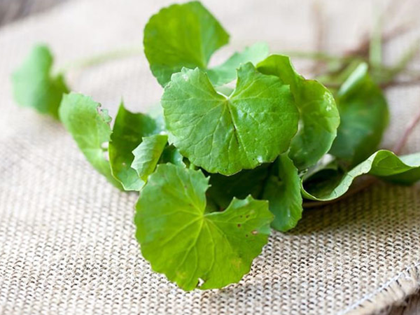 Dưỡng da mịn màng bằng mặt nạ rau má