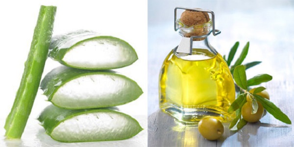 Một số phương pháp làm sữa tắm ô liu đơn giản