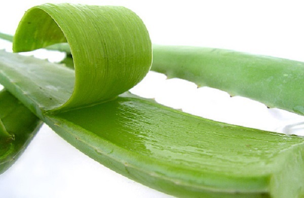 Thường  xuyên dùng sữa tắm có bắt nắng không