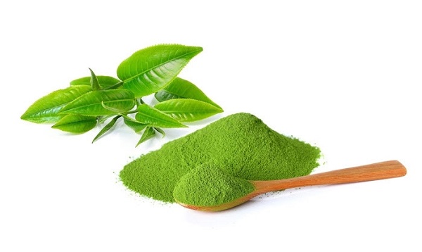 Cách làm sữa rửa mặt tự nhiên từ lá chè xanh