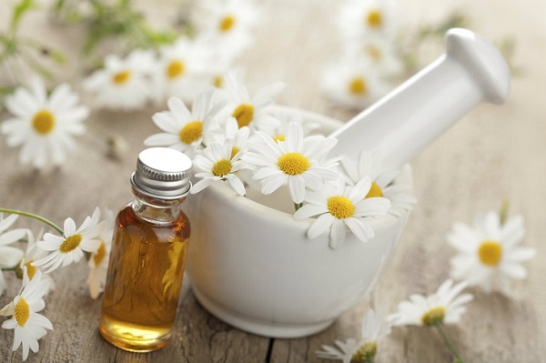 Hướng dẫn tự làm sữa rửa mặt hoa cúc tại nhà