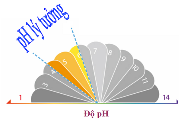 Lưu ý sử dụng sữa rửa mặt dành cho da khô
