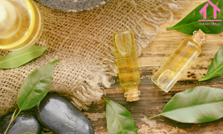 Nhà máy gia công tinh dầu thiên nhiên chất lượng, uy tín tại tphcm